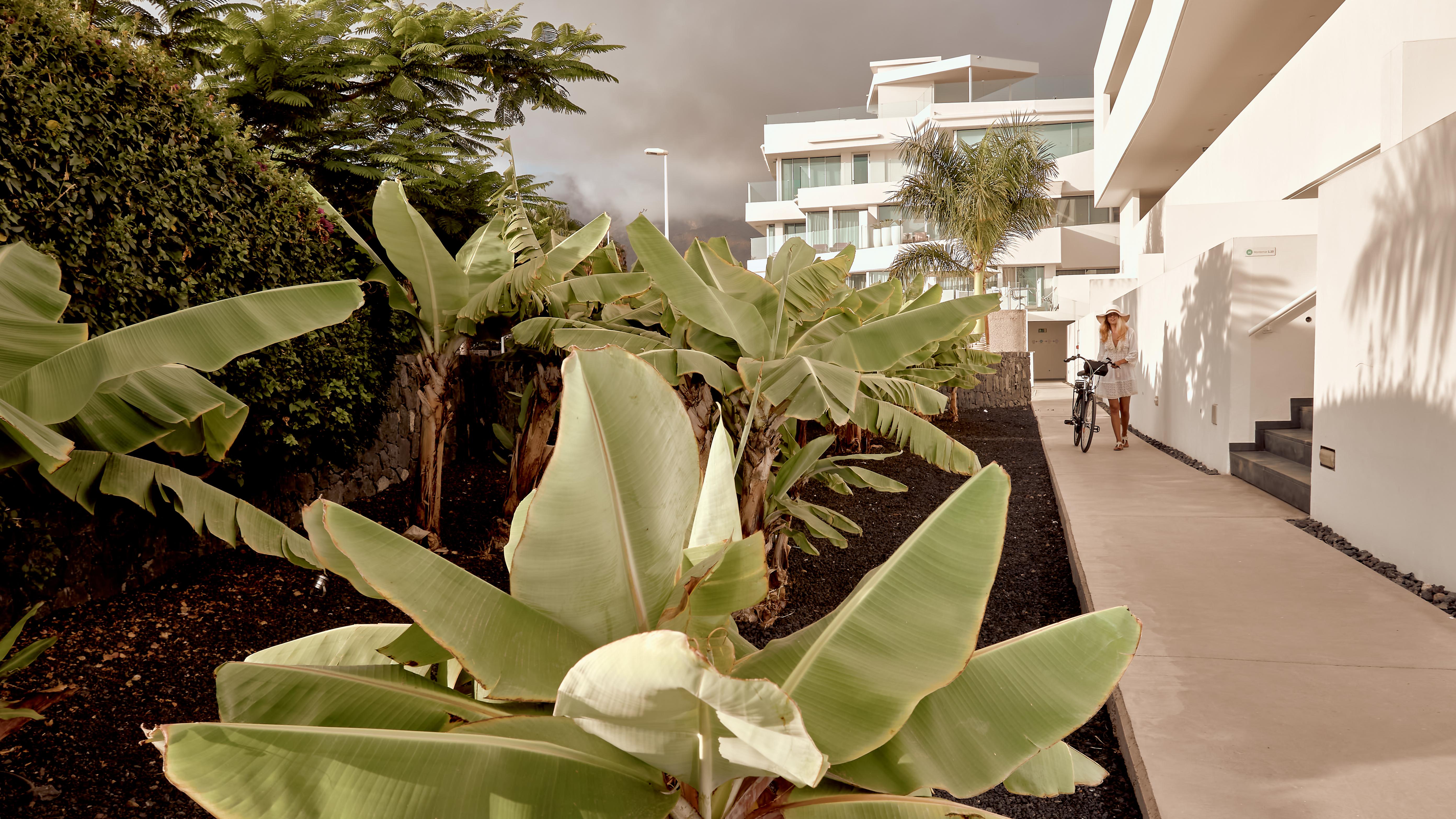 אדחה Hotel Baobab Suites מראה חיצוני תמונה