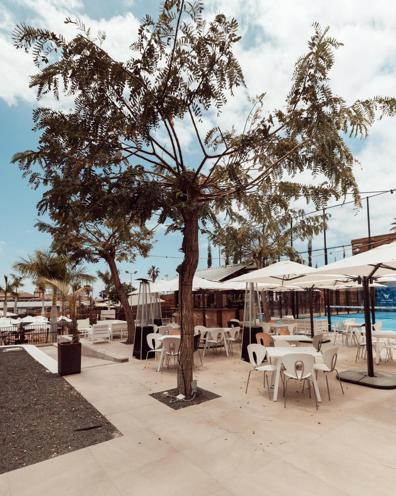 אדחה Hotel Baobab Suites מראה חיצוני תמונה
